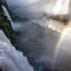 photo "a dive in the rainbow..."