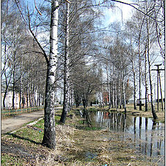 photo "Big Puddle Of Spring"