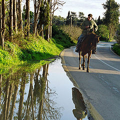 photo "Horseman"