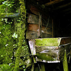 photo "House in Ruins II"