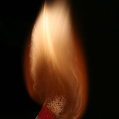 photo "Flame"