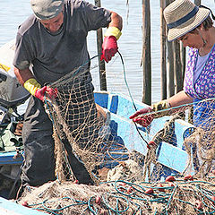 photo "Fishers"