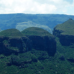 photo "The Tree Mountain Tops"