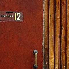 фото "Numbers | 12"