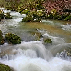 photo "springs cascades"