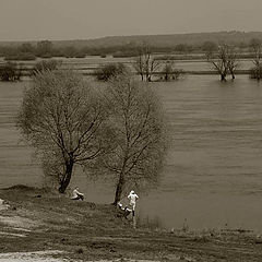 photo "...flood..."