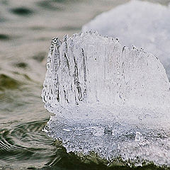 photo "The Floating of the Ice"