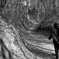 photo "On road of shadows"