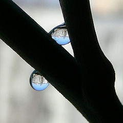 photo "Two Drops"