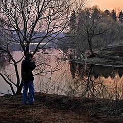 фото "За солнцем."