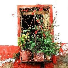 photo "Windows Turkey"