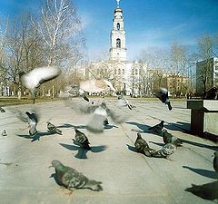 photo "Doves"