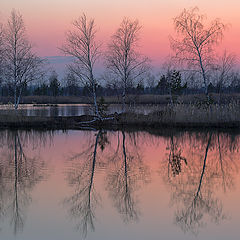 photo "April sundown symmetrical picture"