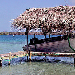photo "Tahiti Boat Shelter"