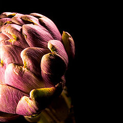 photo "artichoke"