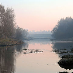 photo "Morning foggy"