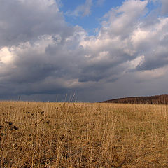 photo "before the first spring rain"