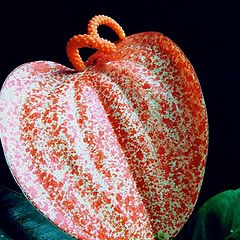 фото "Anthurium ( Flamingo Flower )"