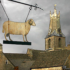 фото "The Sheep at Minchinhampton"