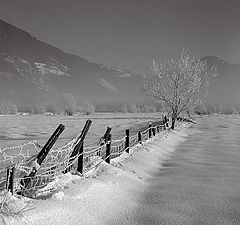 photo "Vorjaehrige Schnee - 2"