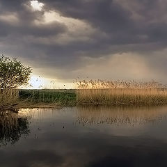 фото "Перед дождем"