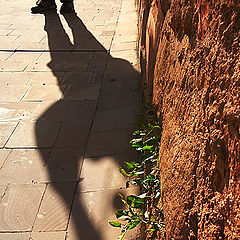 photo "The shadow has come  :)))"