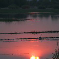 photo "Evening."