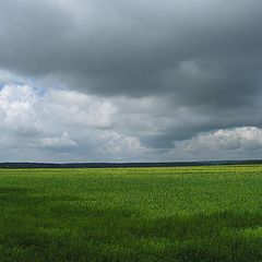 фото "перед дождем"