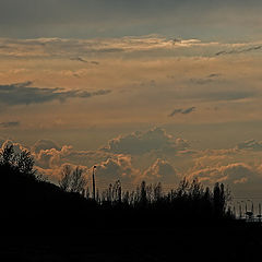 photo "To sink in clouds"