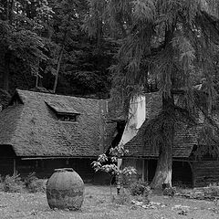 photo "Small house of the forester.."