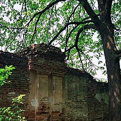 photo "The wall(ancient garden)"