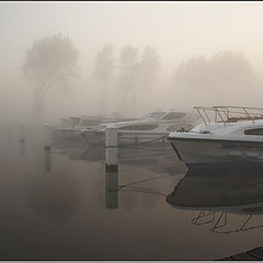 photo "Foggy morning (banal such name)..."