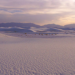 фото "Traces of the Wind Upon Sand"