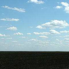 photo "Russian black soils"