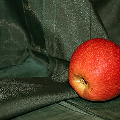 photo "Apple"