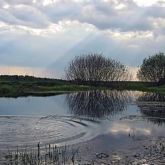 фото "Перед грозой."