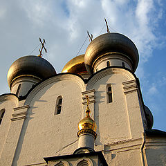 фото "Воздев очи вверх"