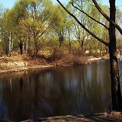 фото "На берегу очень тихой реки (2)"