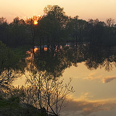 фото "Гжелка"