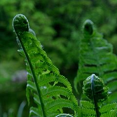 photo "helix"