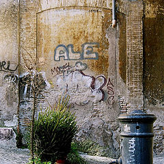 photo "Authentic Rome"