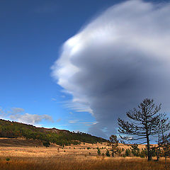 photo "Cloud"