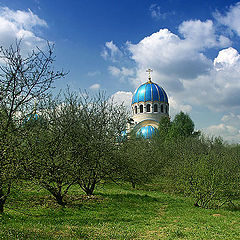 фото "В старом саду..."