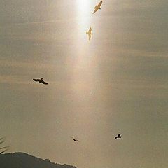 photo "Sunset in Bay of Izmir..."