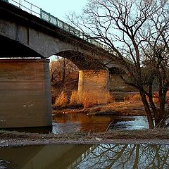 фото "Очень странный пейзаж"