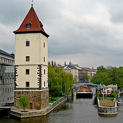 photo "The waters of the River Vltava"