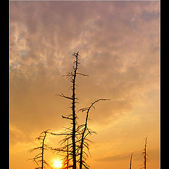 photo "Вечерний этюд"