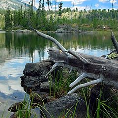 фото "Taggart Lake"