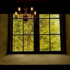 фото "window"