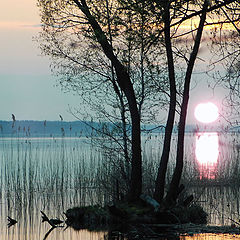 photo "Evening pastel"